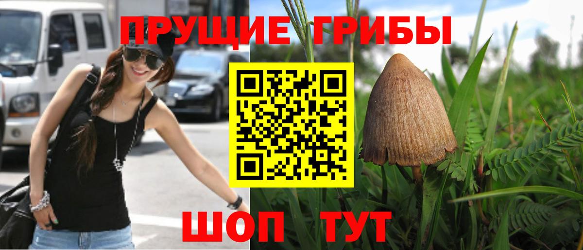 Псилоцибиновые грибы MAGIC MUSHROOMS  Вход с VPN  Галлюциногенные грибы Psilocybe  где найти   Ивантеевка 